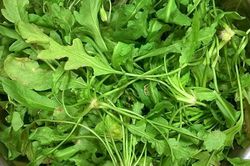 Nhìn như cỏ dại mọc đầy bờ ruộng nhưng lại là 'kho dinh dưỡng', nhiều người ăn một lần rồi nhớ mãi vì làm sủi cảo quá thơm