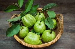 Đừng kết hợp ổi với những thực phẩm này nếu không muốn đau bụng, khó tiêu