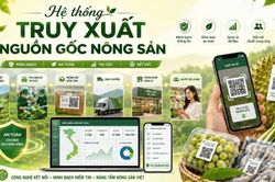 Ứng dụng truy xuất nguồn gốc, nâng tầm thương hiệu và vị thế nông sản Việt Nam