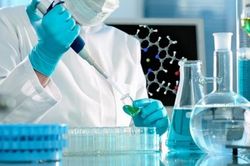 Tuy&ecirc;n Quang ph&aacute;t triển c&ocirc;ng nghệ sinh học, đẩy mạnh sản xuất n&ocirc;ng nghiệp ph&aacute;t thải thấp
