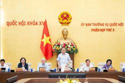 Trình chủ trương đầu tư xây dựng đường Vành đai 5 - Vùng Thủ đô Hà Nội