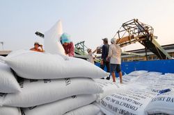 Ngành gạo trước cơ hội nâng cao giá trị