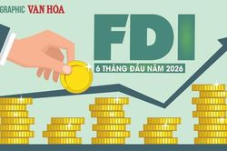 FDI v&agrave;o Việt Nam 6 th&aacute;ng đạt 34,65 tỉ USD, lập kỷ lục 5 năm