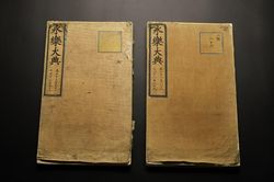 Trung Quốc hồi hương thành công hai tập của 'Vĩnh Lạc Đại Điển'
