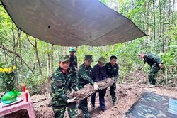 Đắk Lắk: Tìm thấy 2 hài cốt liệt sĩ từ ký ức của cựu giao liên 96 tuổi