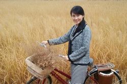Dịch giả Thanh Vy: 'Nơi đẹp nhất là nơi có màu xanh của cây...'