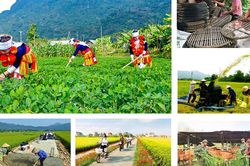 Chương trình mục tiêu quốc gia phải bảo đảm chính sách đúng địa bàn, đúng đối tượng và đáp ứng nhu cầu cấp thiết