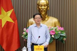 Chậm nhất ngày 15/7 trình Chính phủ Nghị quyết tháo gỡ điểm nghẽn xuất khẩu nông sản