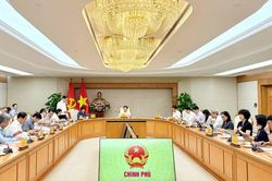 Phân định rõ cơ chế tự chủ giữa cơ sở giáo dục đại học công lập và tư thục