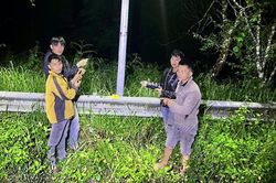 Cắt dây điện 'đổi' ma túy