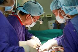 Bộ Y tế yêu cầu chấn chỉnh việc cơ sở y tế tự kết nối, điều phối mô, tạng không đúng quy định