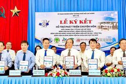 Y tế khu vực Hồ Tràm khởi sắc
