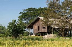 [GALLERY] Nhà sàn đẹp như mơ 'sống tự nhiên' giữa cánh đồng lúa