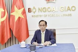 Bộ trưởng Ngoại giao L&ecirc; Ho&agrave;i Trung điện đ&agrave;m với Bộ trưởng Ngoại giao Mexico Roberto Velasco &Aacute;lvarez