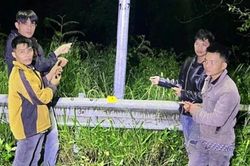 Khởi tố 6 đối tượng cắt trộm hơn 1.200m dây điện mang bán phế liệu