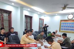 Xử lý 1.200 trường hợp vi phạm giao thông, xử phạt trên 6 tỷ đồng