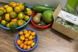 Mẹ chồng tính tiền từng mớ rau, quả trứng cho con cháu, nàng dâu xử lý 'cao tay'