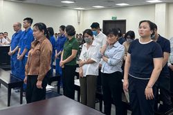 Hà Nội: Nhận hối lộ tiền tỷ để 'tạo điều kiện' cấp phép, nhóm cựu cán bộ hầu tòa