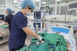 H&agrave; Nội v&agrave;o m&ugrave;a sốt xuất huyết: Người phụ nữ 69 tuổi nguy kịch sau 4 ng&agrave;y sốt