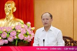 Đổi mới tư duy, tăng cường phối hợp, nâng cao chất lượng tham mưu, phục vụ cấp ủy