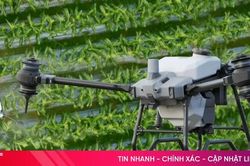 Giấy phép điều khiển phương tiện bay hạng B mở ra cơ hội nghề nghiệp lĩnh vực UAV