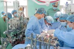 Bộ Y tế yêu cầu các cơ sở y tế chấn chỉnh việc tự điều phối ghép mô tạng