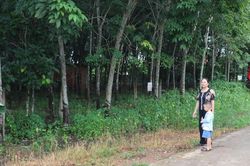 Đồng Nai: Người dân Nha Bích hiến đất trị giá 16 tỷ đồng mở tuyến đường động lực