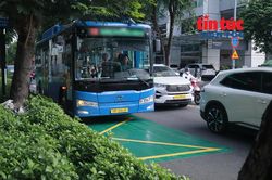 Gần 1,6 triệu lượt khách đi xe buýt sau 6 ngày miễn phí vé tại TP Hồ Chí Minh
