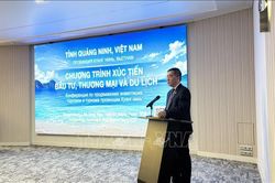 Thúc đẩy kết nối đầu tư và du lịch giữa Việt Nam và Nga
