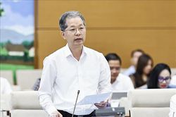 Hoàn thiện quy trình pháp lý đưa người từ đủ 12 đến dưới 18 tuổi đi cai nghiện ma túy