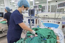 Bị tiểu đường, cụ bà mắc sốt xuất huyết nguy kịch