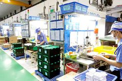 Chính sách hỗ trợ doanh nghiệp tư nhân chưa như kỳ vọng
