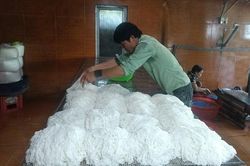 Nghị quyết 57: Huế phát huy hiệu quả nguồn lực khoa học, công nghệ