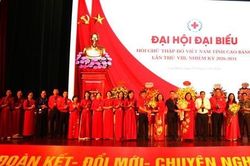 Thúc đẩy chuyển đổi số trong hoạt động nhân đạo ở vùng biên giới