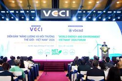 Net Zero: Việt Nam cần có lộ trình phù hợp để chuyển dịch năng lượng