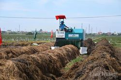 Khởi động chuỗi l&uacute;a xanh, m&ocirc; h&igrave;nh tốt cho kinh tế tuần ho&agrave;n