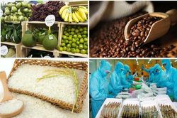 Tăng cường giám sát cộng đồng về an toàn thực phẩm nông lâm thủy sản