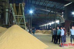 Bộ Công Thương kiểm tra năng lực sản xuất ethanol trong nước