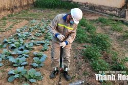 Hành động vì 'sức khỏe' của đất