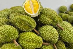 Xuất khẩu sầu riêng tăng mạnh, vì sao giá trong nước vẫn lao dốc?