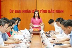 Thường trực HĐND tỉnh Bắc Ninh giám sát việc phát triển nhà ở xã hội
