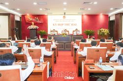 Nhiều đối tượng được miễn, giảm vé xe buýt