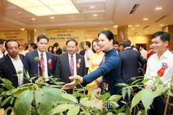 Tạo động lực th&uacute;c đẩy ph&aacute;t triển kinh tế - x&atilde; hội, bứt ph&aacute; thực hiện mục ti&ecirc;u tăng trưởng 2 con số