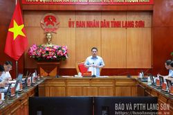 Họp xem xét các nội dung thuộc lĩnh vực văn hóa, thể thao và du lịch