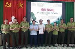 Ký kết Quy chế phối hợp trong công tác quản lý, bảo vệ rừng