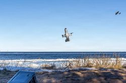 NATO chi 40 tỉ USD đối phó UAV giá rẻ và cuộc đua công nghệ không người lái mới