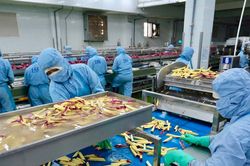 Ng&agrave;nh n&ocirc;ng nghiệp v&agrave; m&ocirc;i trường L&acirc;m Đồng r&agrave; so&aacute;t kịch bản tăng trưởng cuối năm
