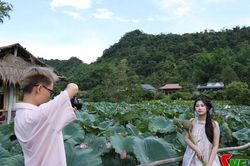 Mùa sen ở bản Híp