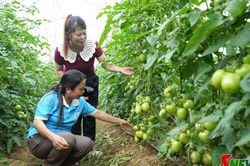 Đồng hành cùng phụ nữ làm giàu