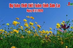 Dự b&aacute;o thời tiết to&agrave;n tỉnh Sơn La ng&agrave;y 9/7/2026
